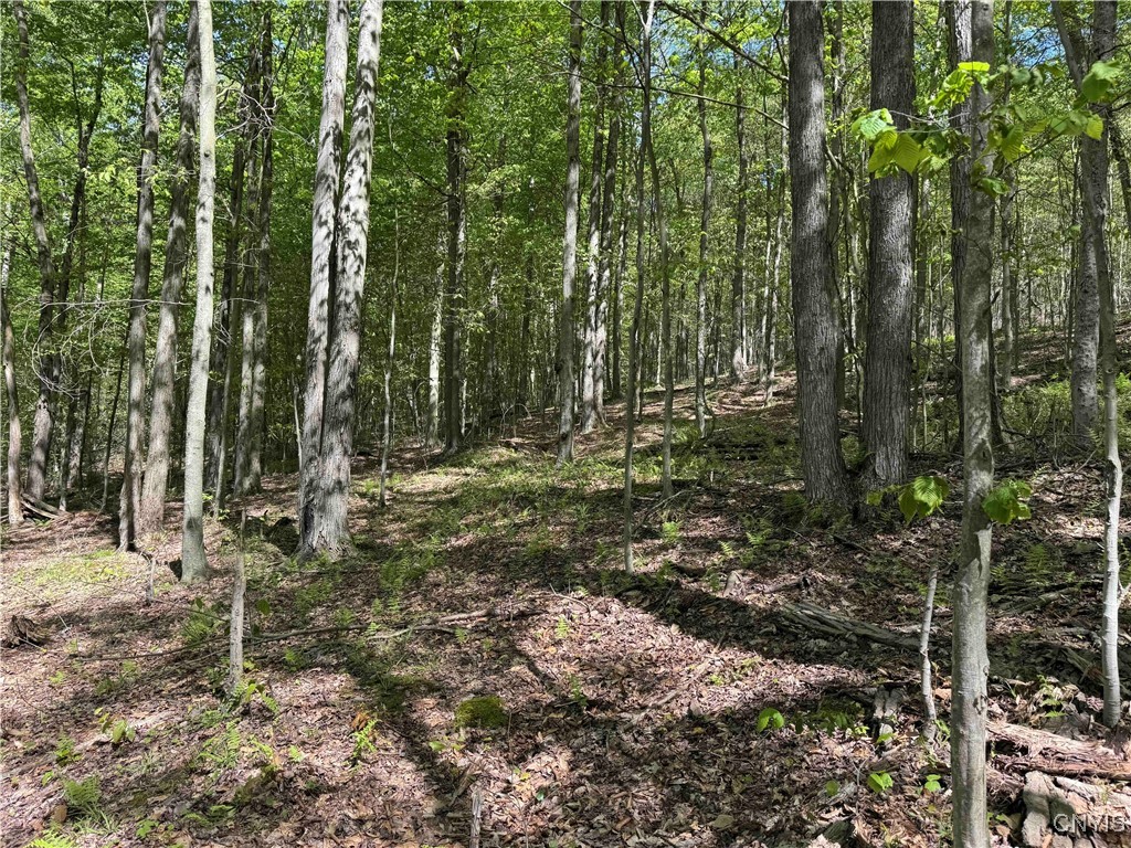 774 Bent Dipper Road Genesee, NY 14721 - Photo 32 of 46