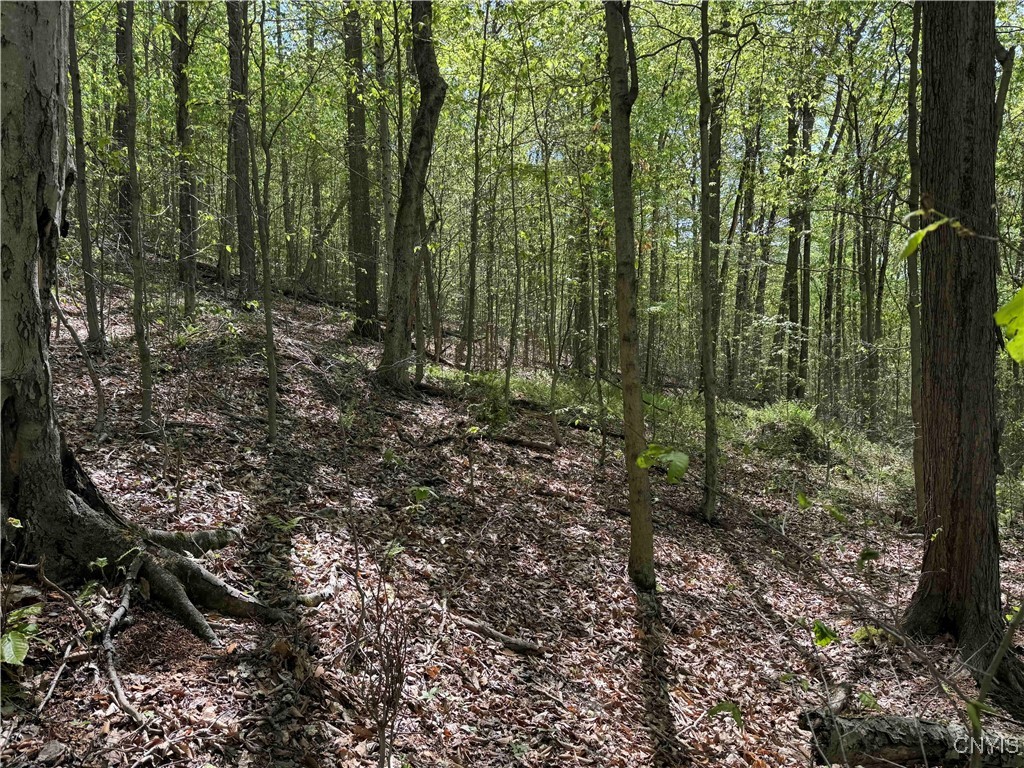 774 Bent Dipper Road Genesee, NY 14721 - Photo 33 of 46