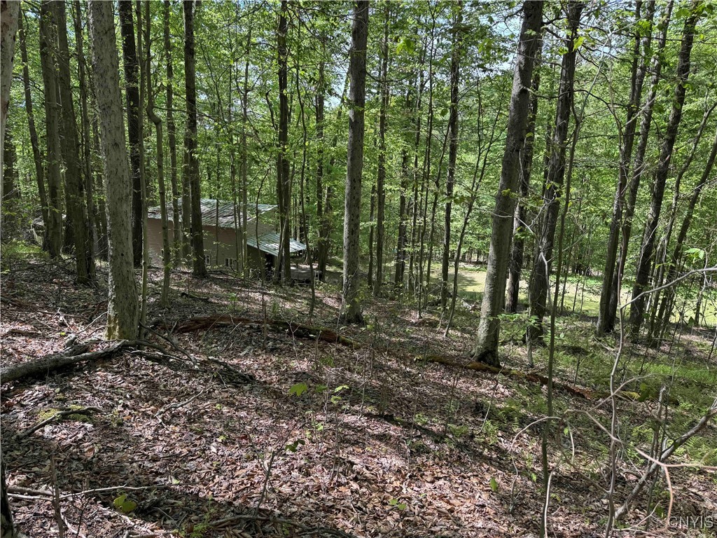 774 Bent Dipper Road Genesee, NY 14721 - Photo 34 of 46