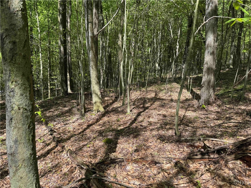 774 Bent Dipper Road Genesee, NY 14721 - Photo 35 of 46