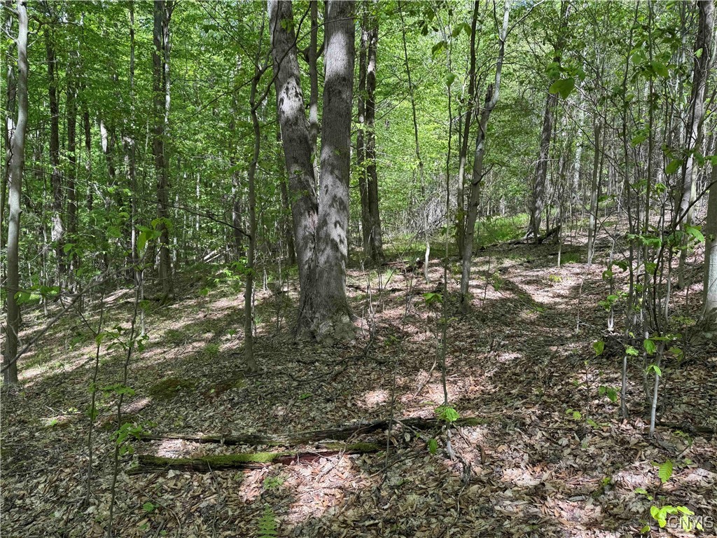 774 Bent Dipper Road Genesee, NY 14721 - Photo 36 of 46