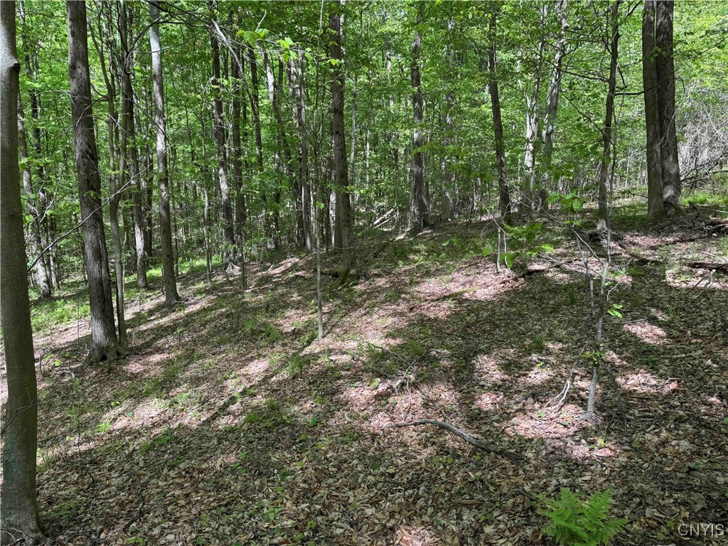 774 Bent Dipper Road Genesee, NY 14721 - Photo 37 of 46