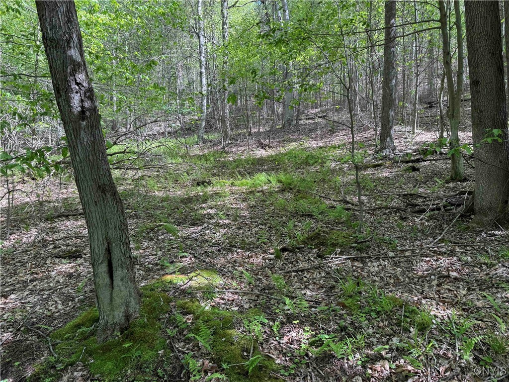 774 Bent Dipper Road Genesee, NY 14721 - Photo 38 of 46