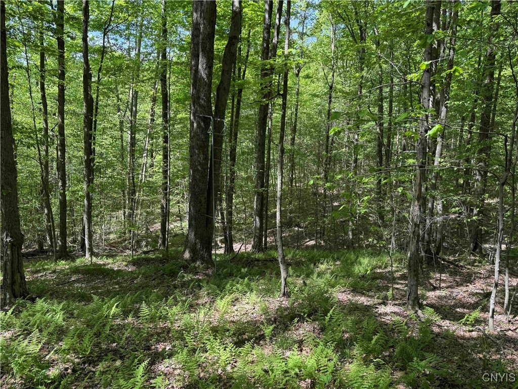 774 Bent Dipper Road Genesee, NY 14721 - Photo 40 of 46