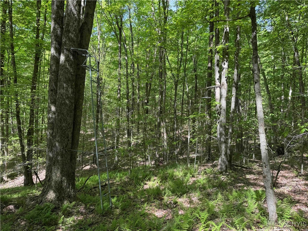 774 Bent Dipper Road Genesee, NY 14721 - Photo 41 of 46