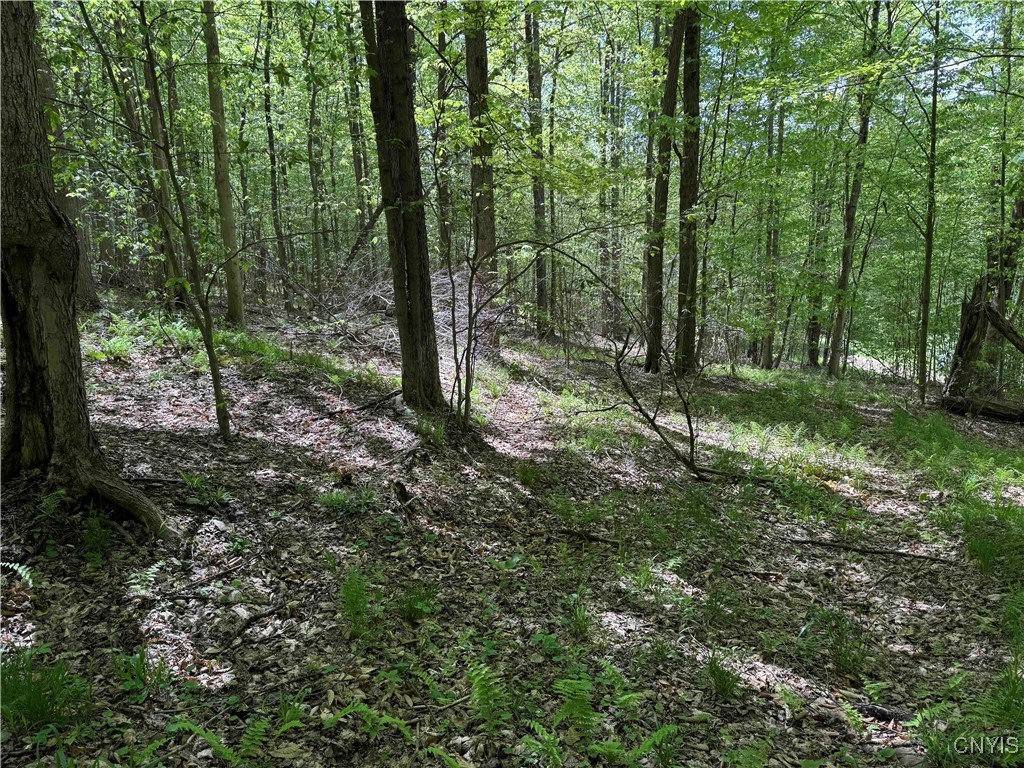 774 Bent Dipper Road Genesee, NY 14721 - Photo 42 of 46