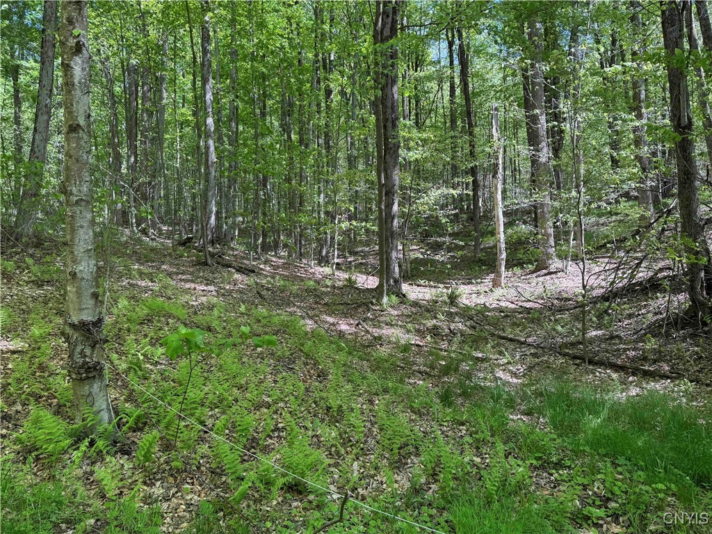 774 Bent Dipper Road Genesee, NY 14721 - Photo 43 of 46