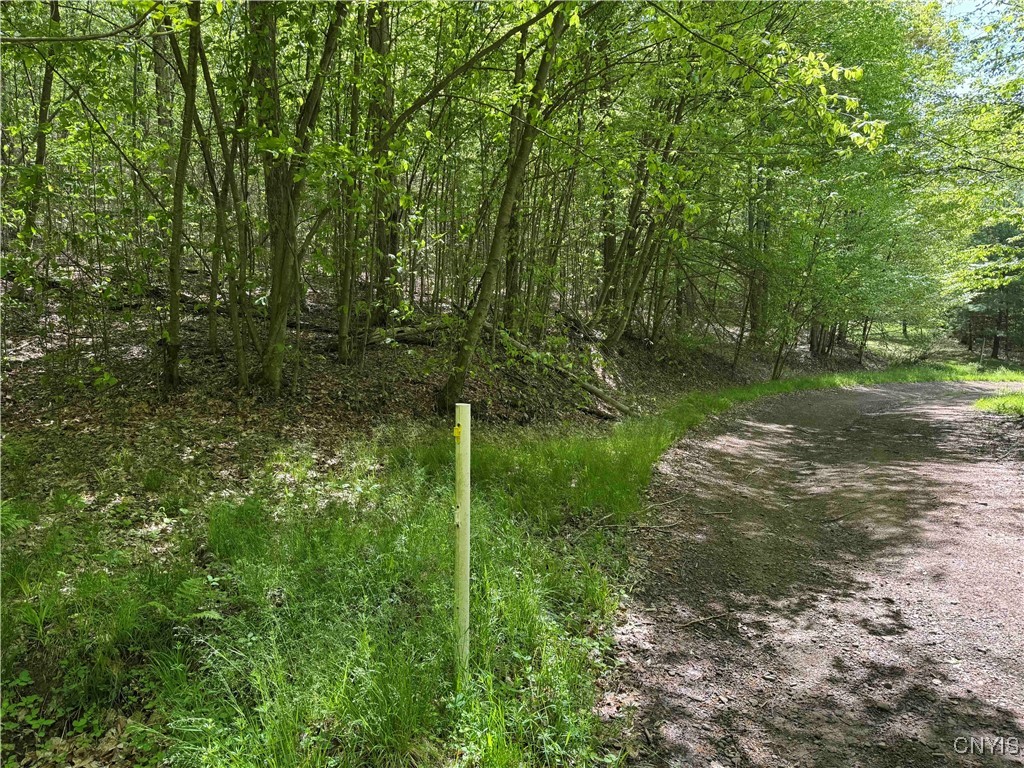 774 Bent Dipper Road Genesee, NY 14721 - Photo 44 of 46