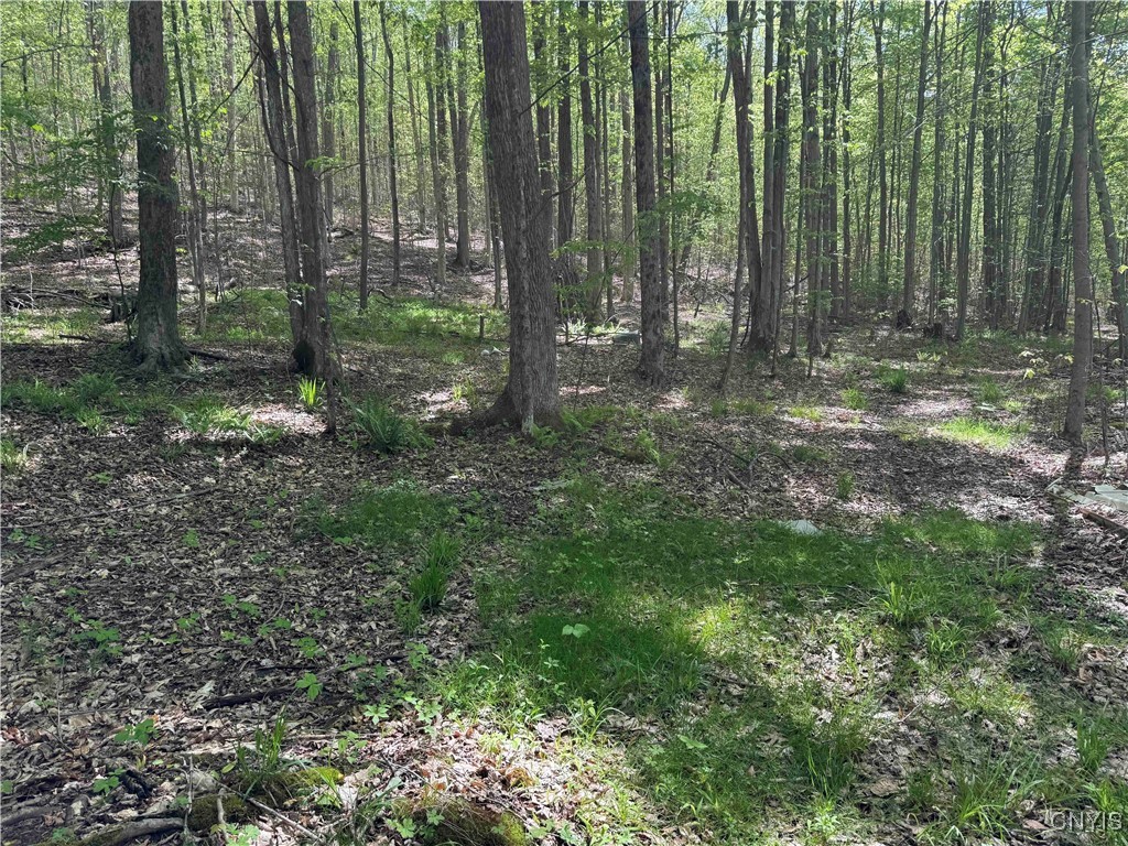 774 Bent Dipper Road Genesee, NY 14721 - Photo 45 of 46