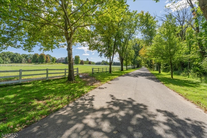 70 Sutton Road Califon, NJ 07830 - Photo 20 of 34 Gallery Image 20