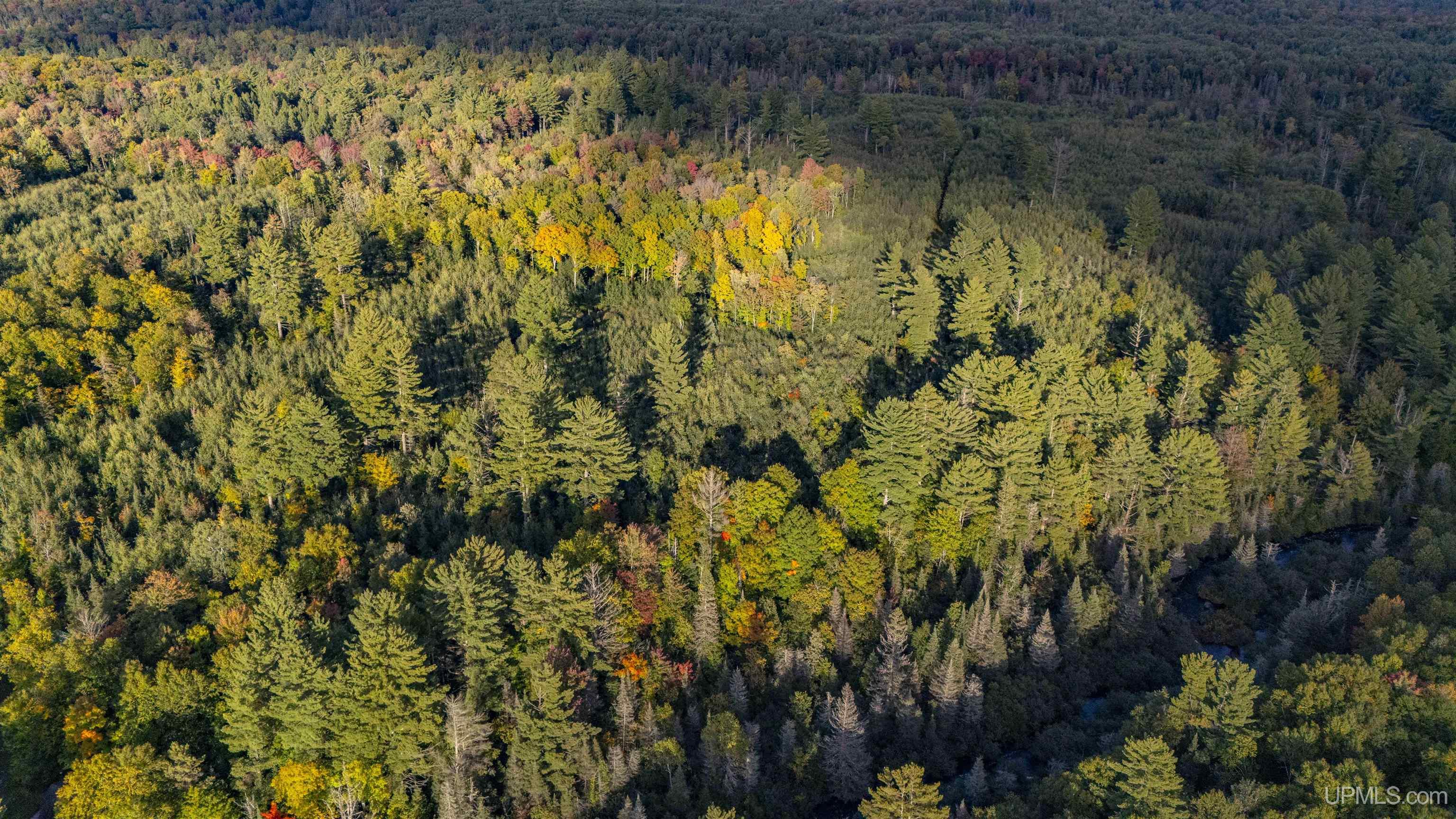 Tbd Luke Road Amasa, MI 49903 - Photo 32 of 64