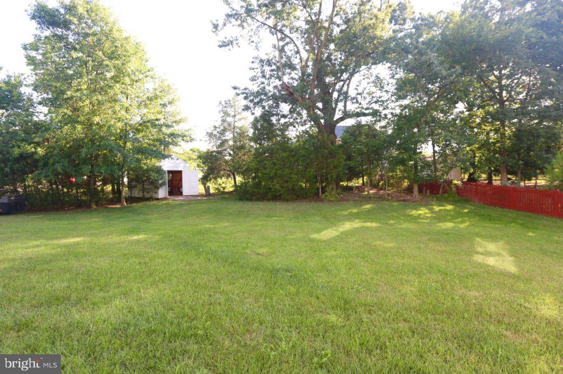 42556 Flemming Drive Chantilly, VA 20152 - Photo 15 of 84 VIEW OF DISCREETLY SHELTERED SHED