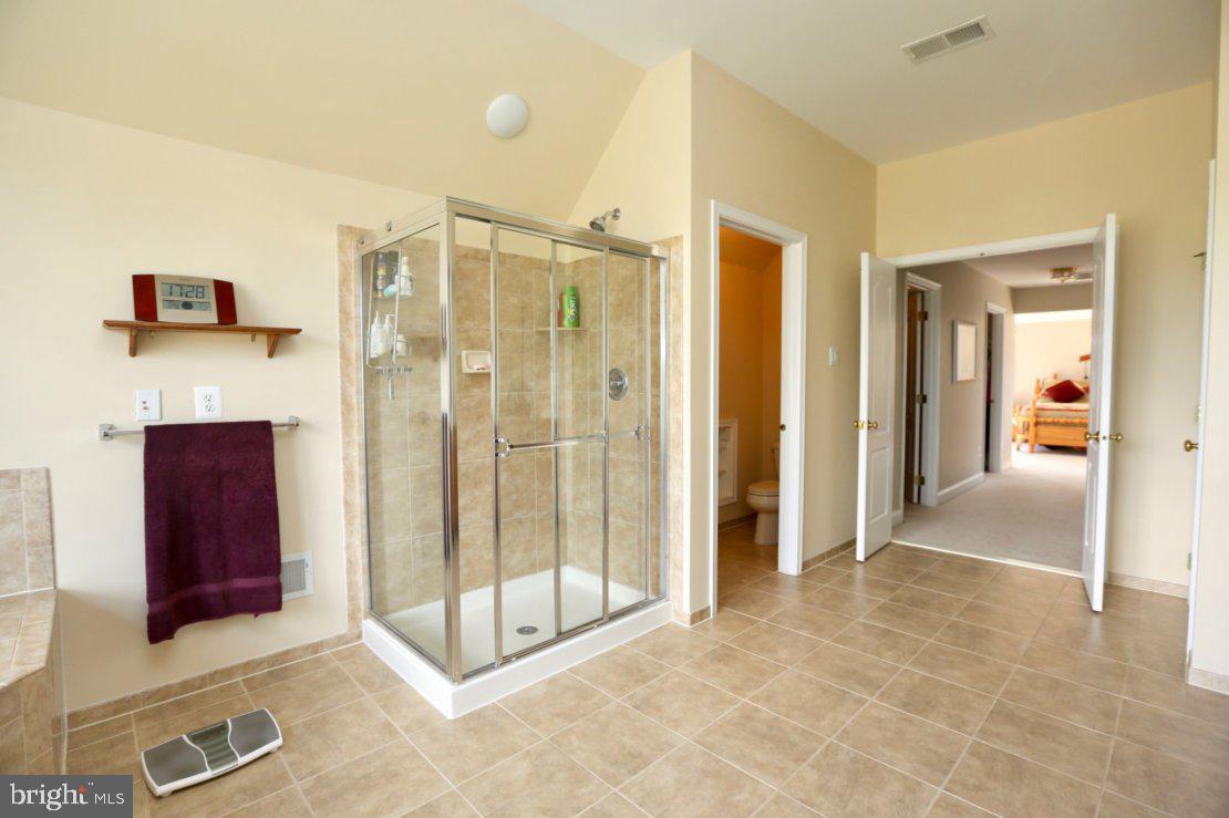 42556 Flemming Drive Chantilly, VA 20152 - Photo 49 of 84 MASTER BATH ENTRANCE AND SHOWER