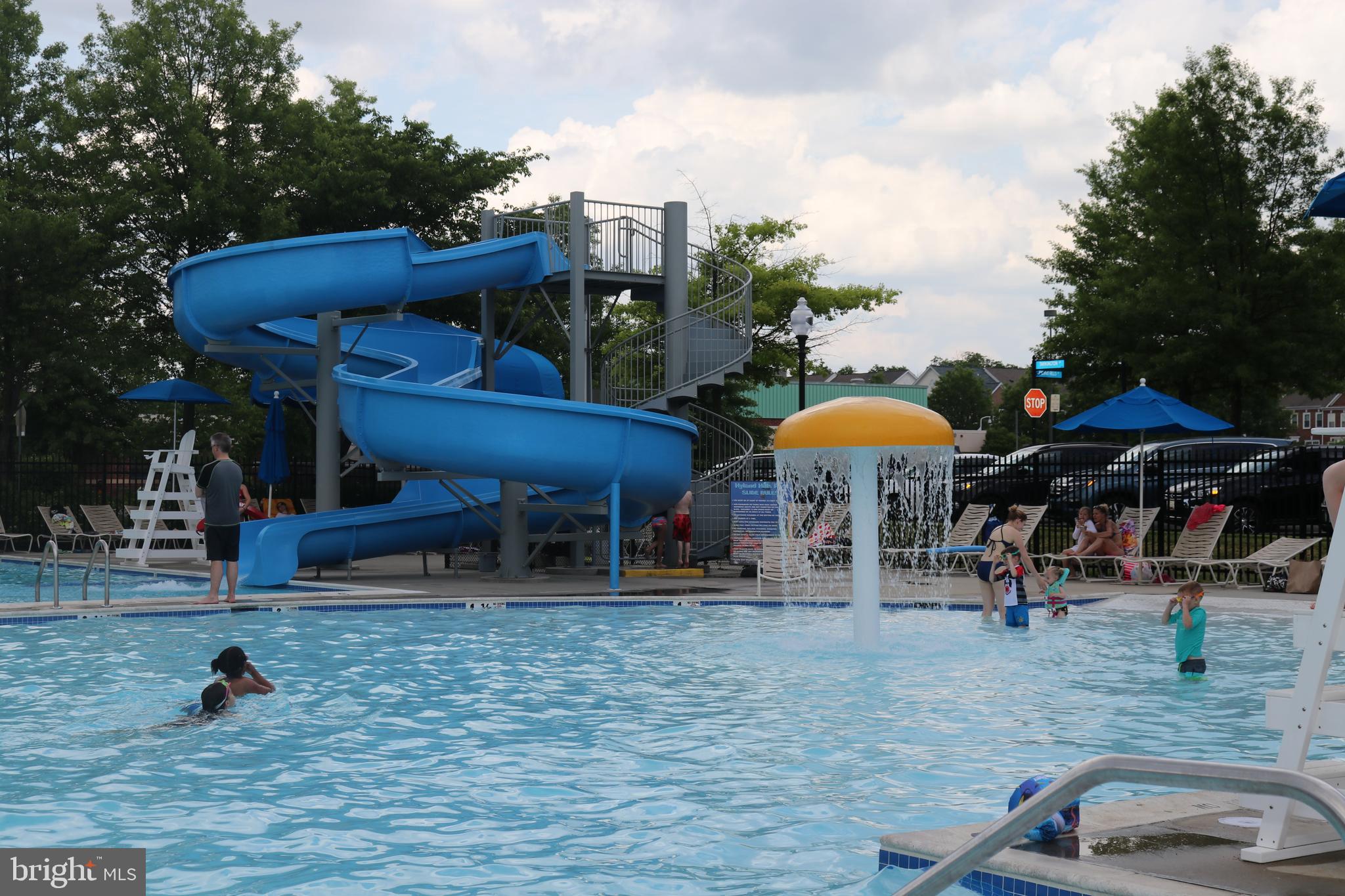 42556 Flemming Drive Chantilly, VA 20152 - Photo 82 of 84 COMMUNITY POOL3
