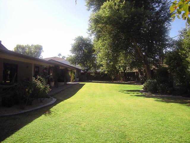 514 West Ocotillo Road Phoenix, AZ 85013 - Photo 26 of 26 Another shot of back backyard
