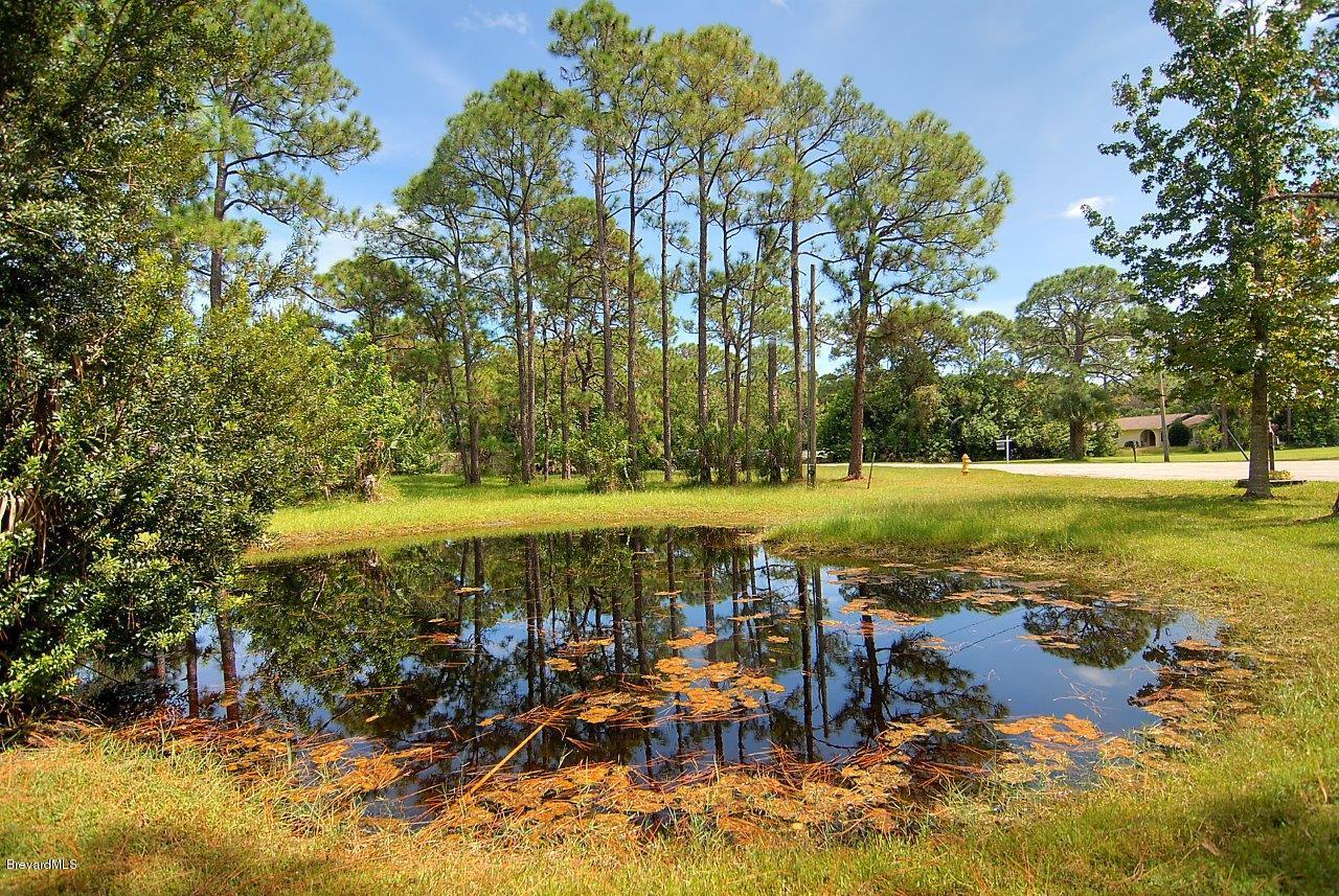 4566 Mustang Road Melbourne, FL 32934 - Photo 11 of 14 pond east
