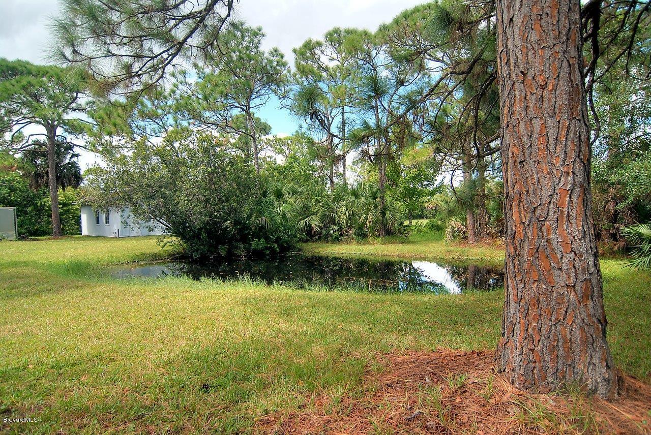 4566 Mustang Road Melbourne, FL 32934 - Photo 12 of 14 pond west
