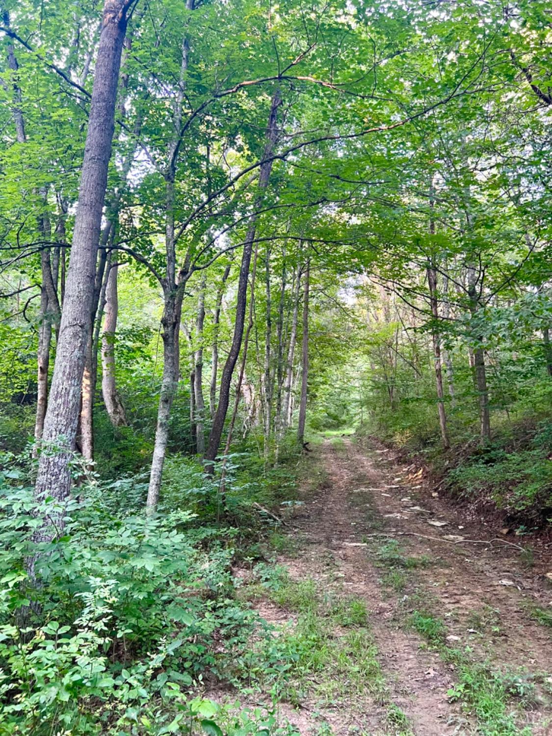 6960 Straight Creek Road Georgetown, OH 45121 - Photo 84 of 93