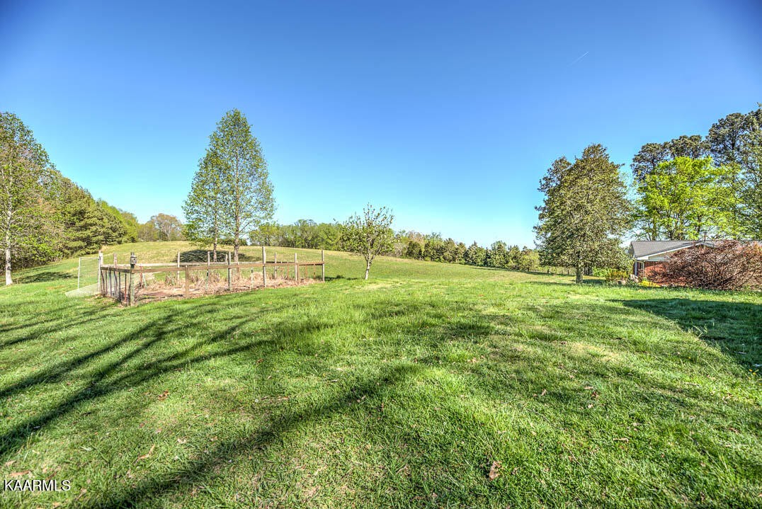 83488332 Collier Road Powell, TN 37849 - Photo 12 of 25 Gallery Image 12