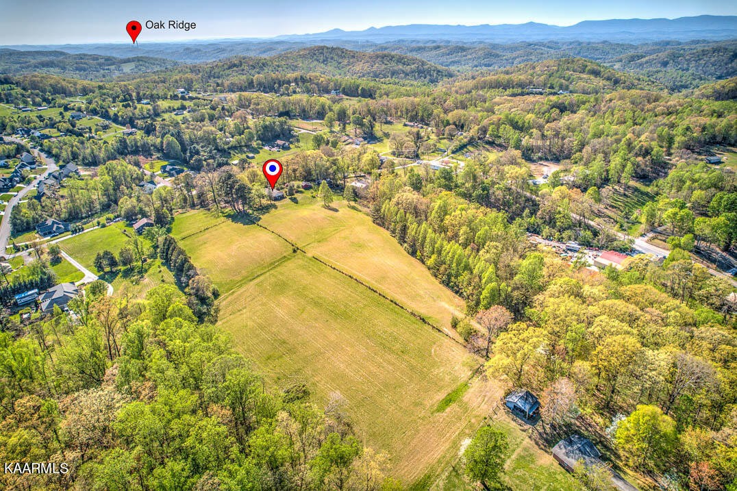 83488332 Collier Road Powell, TN 37849 - Photo 16 of 25 Gallery Image 16