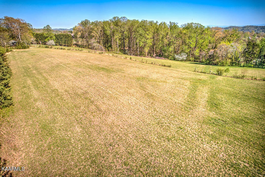 83488332 Collier Road Powell, TN 37849 - Photo 20 of 25 Gallery Image 20