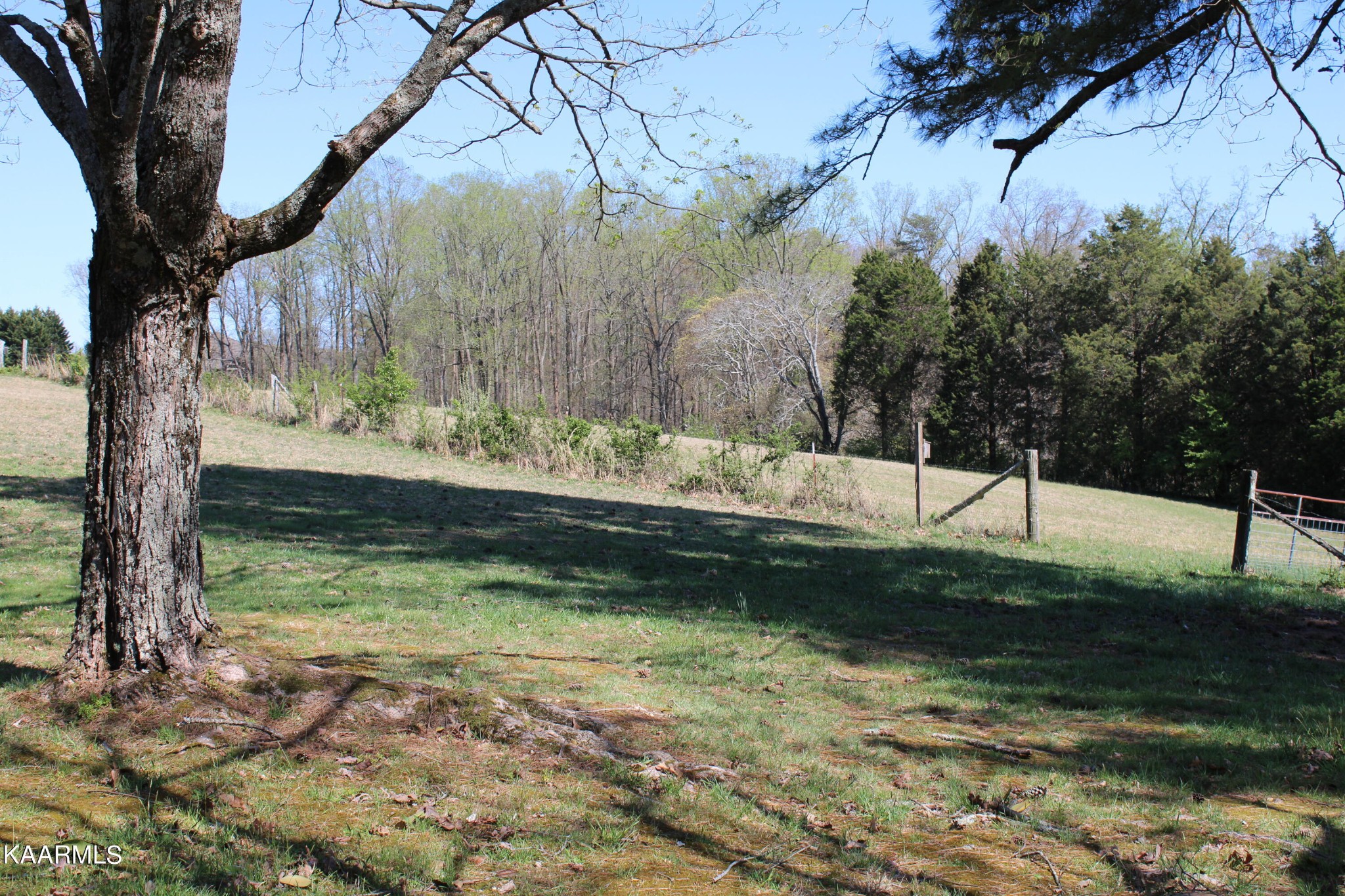 83488332 Collier Road Powell, TN 37849 - Photo 2 of 25 Gallery Image 2