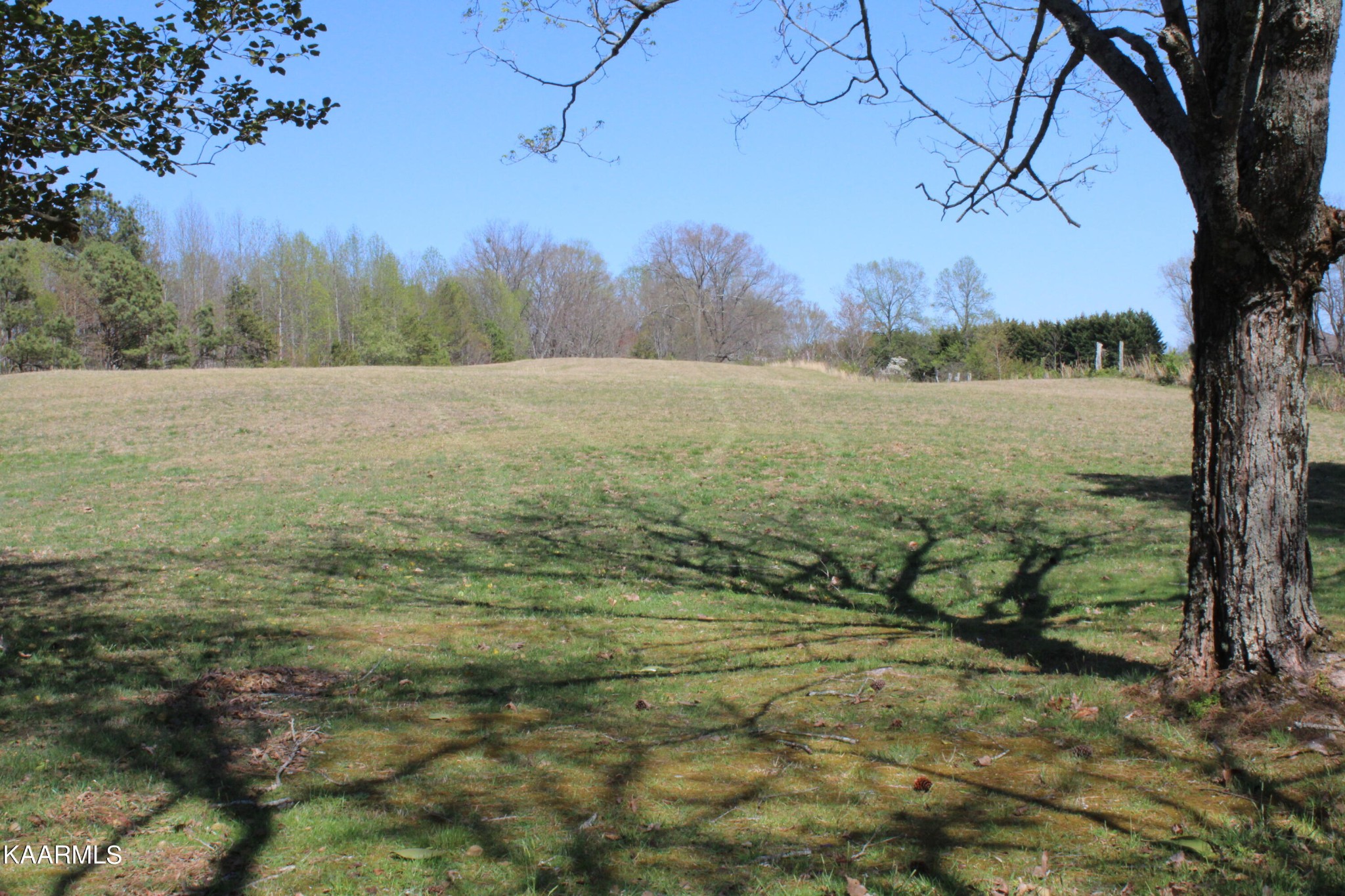 83488332 Collier Road Powell, TN 37849 - Photo 3 of 25 Gallery Image 3