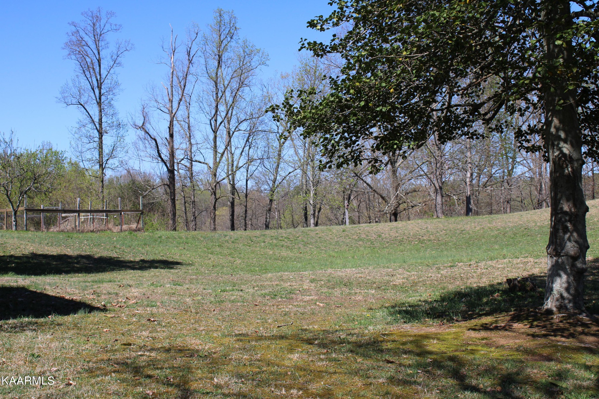 83488332 Collier Road Powell, TN 37849 - Photo 5 of 25 Gallery Image 5