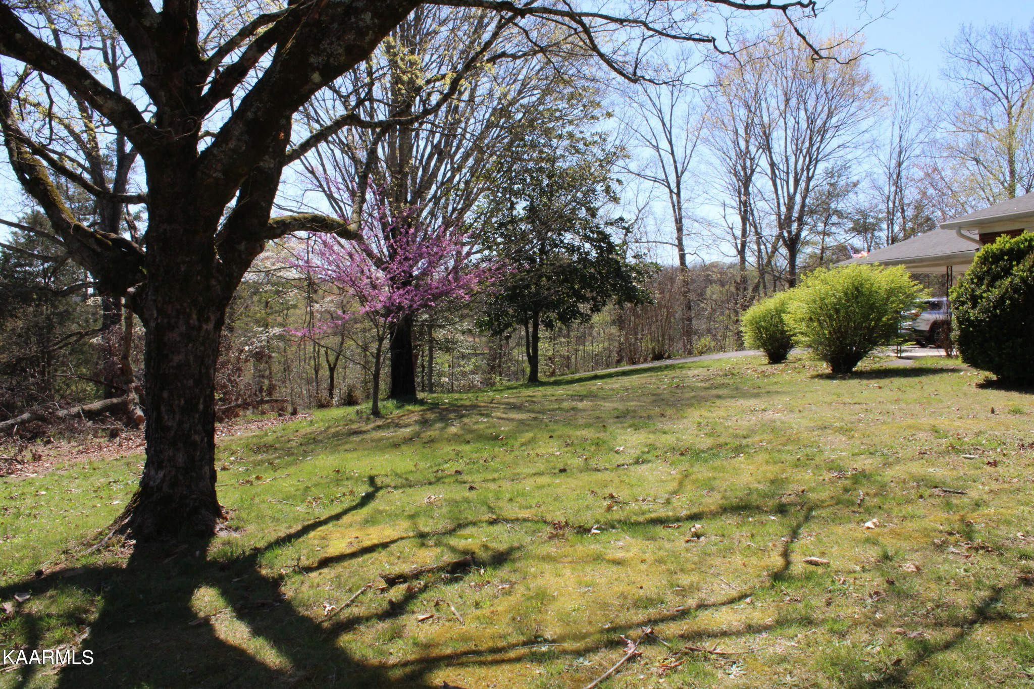 83488332 Collier Road Powell, TN 37849 - Photo 7 of 25 Gallery Image 7