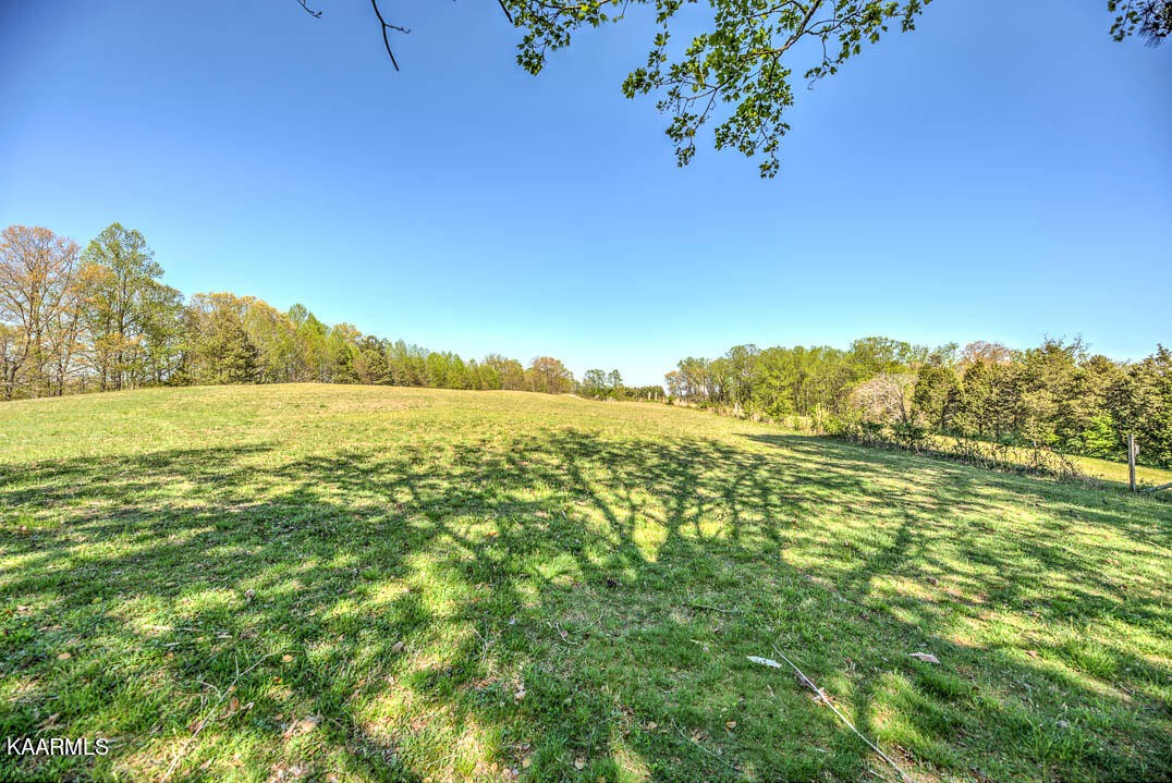 83488332 Collier Road Powell, TN 37849 - Photo 10 of 25 Gallery Image 10