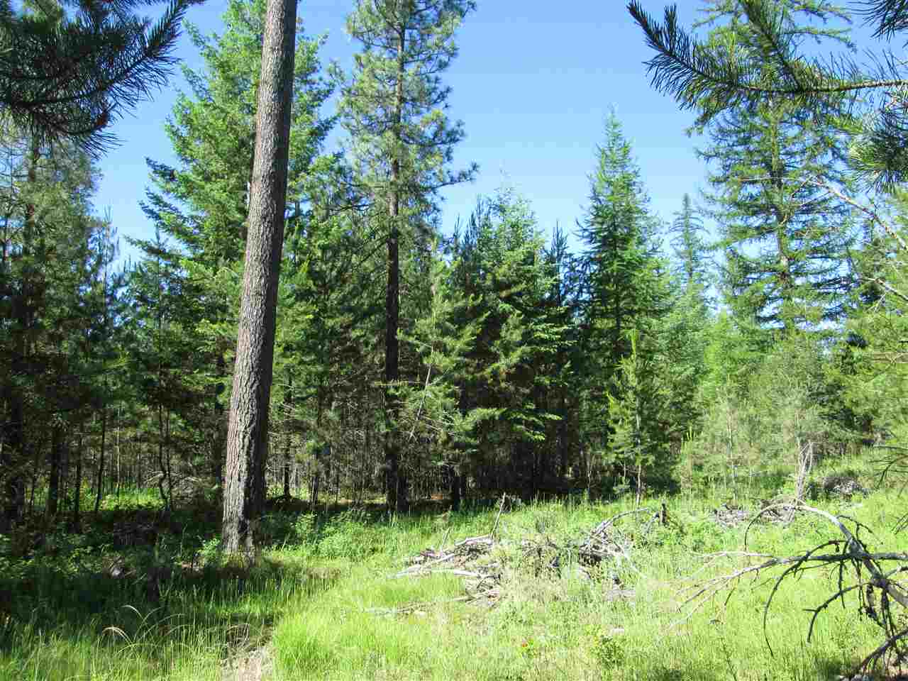 0 West Owens Road Deer Park, WA 99006 - Photo 4 of 7 Gallery Image 4