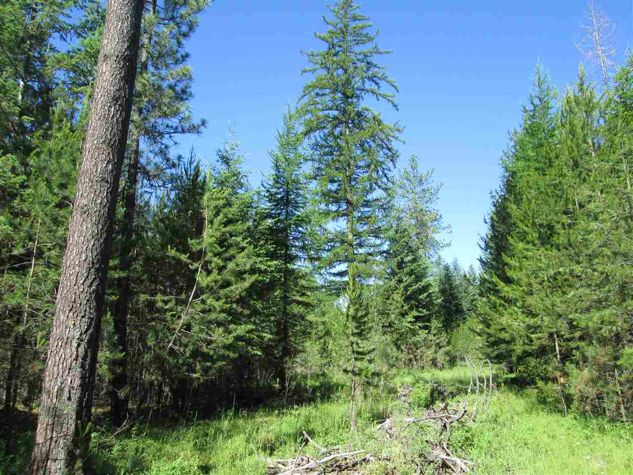 0 West Owens Road Deer Park, WA 99006 - Photo 5 of 7 Gallery Image 5