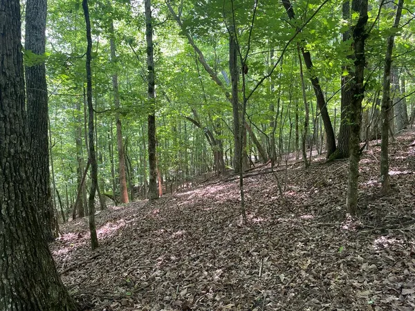 $53,000 | Lot 11 Brumby Run, Blairsville, GA 30512