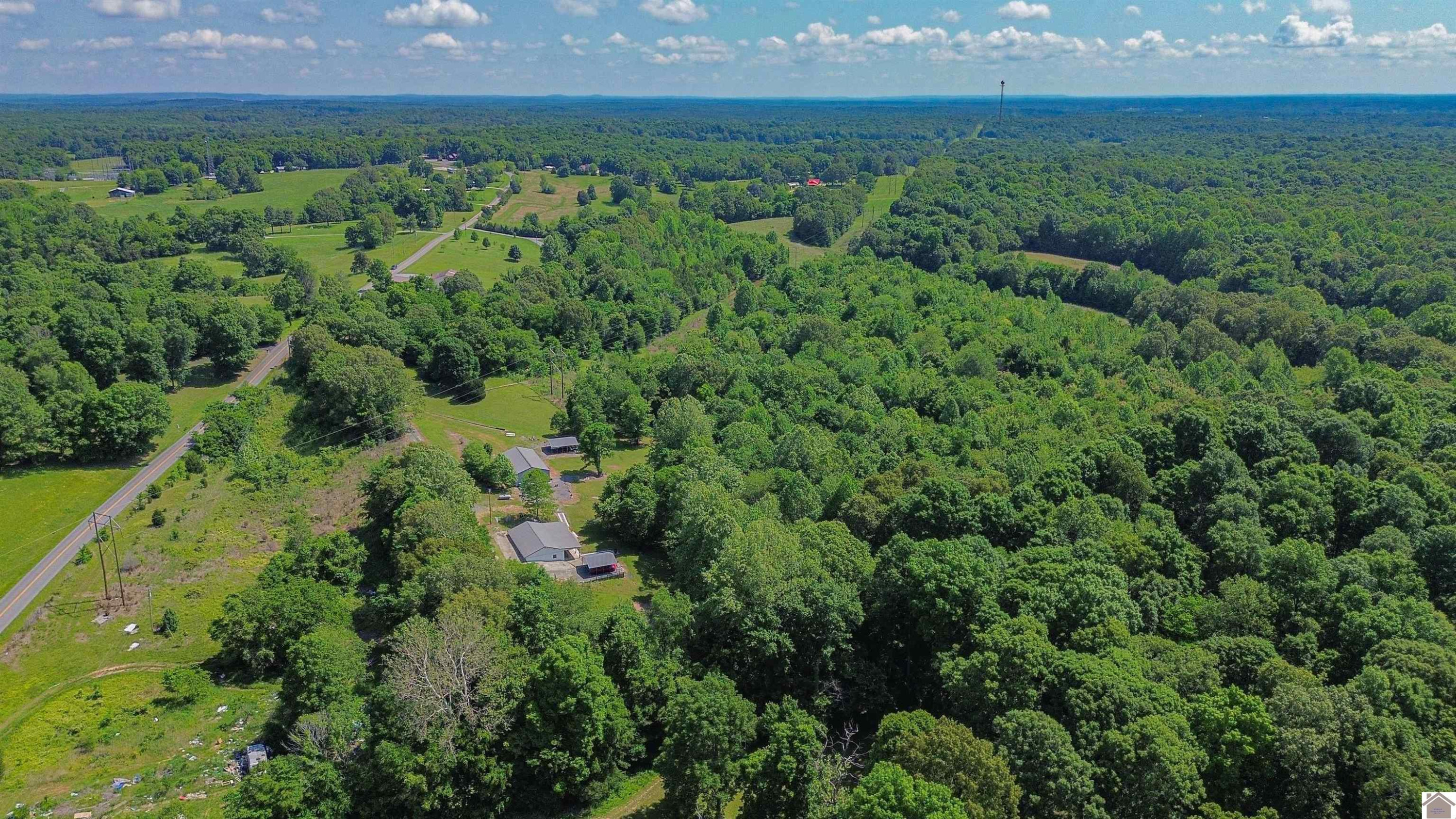 771 Paradise Road Grand Rivers, KY 42045 - Photo 21 of 25 Photo 21