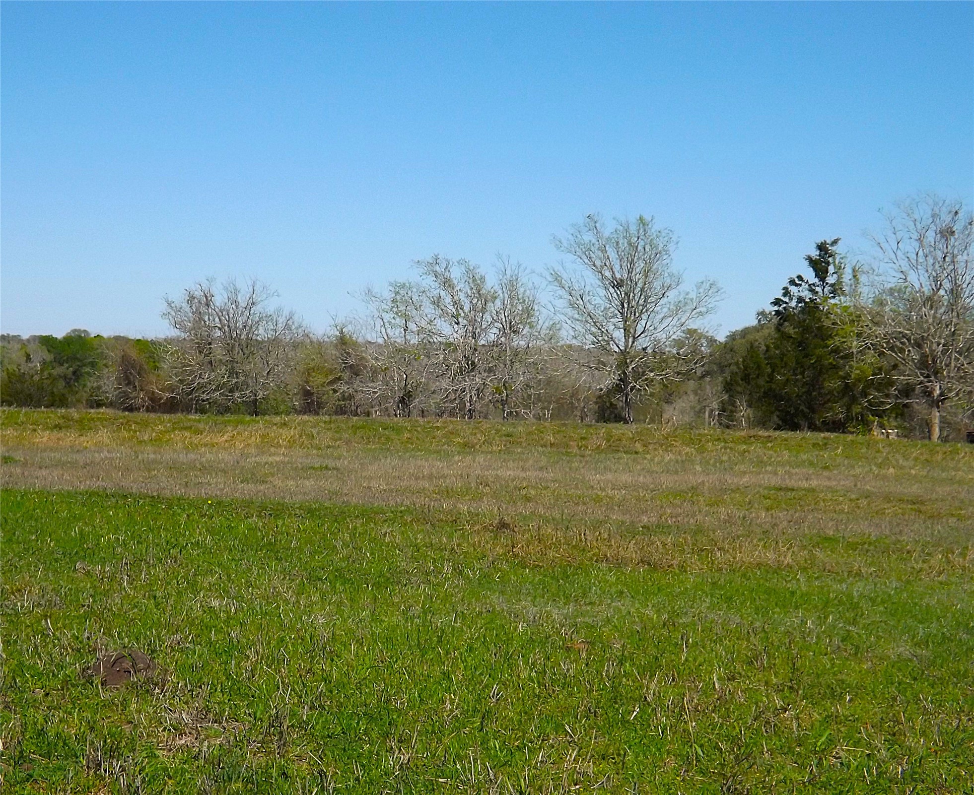 209 Cr 209 Road Weimar, TX 78962 - Photo 6 of 7