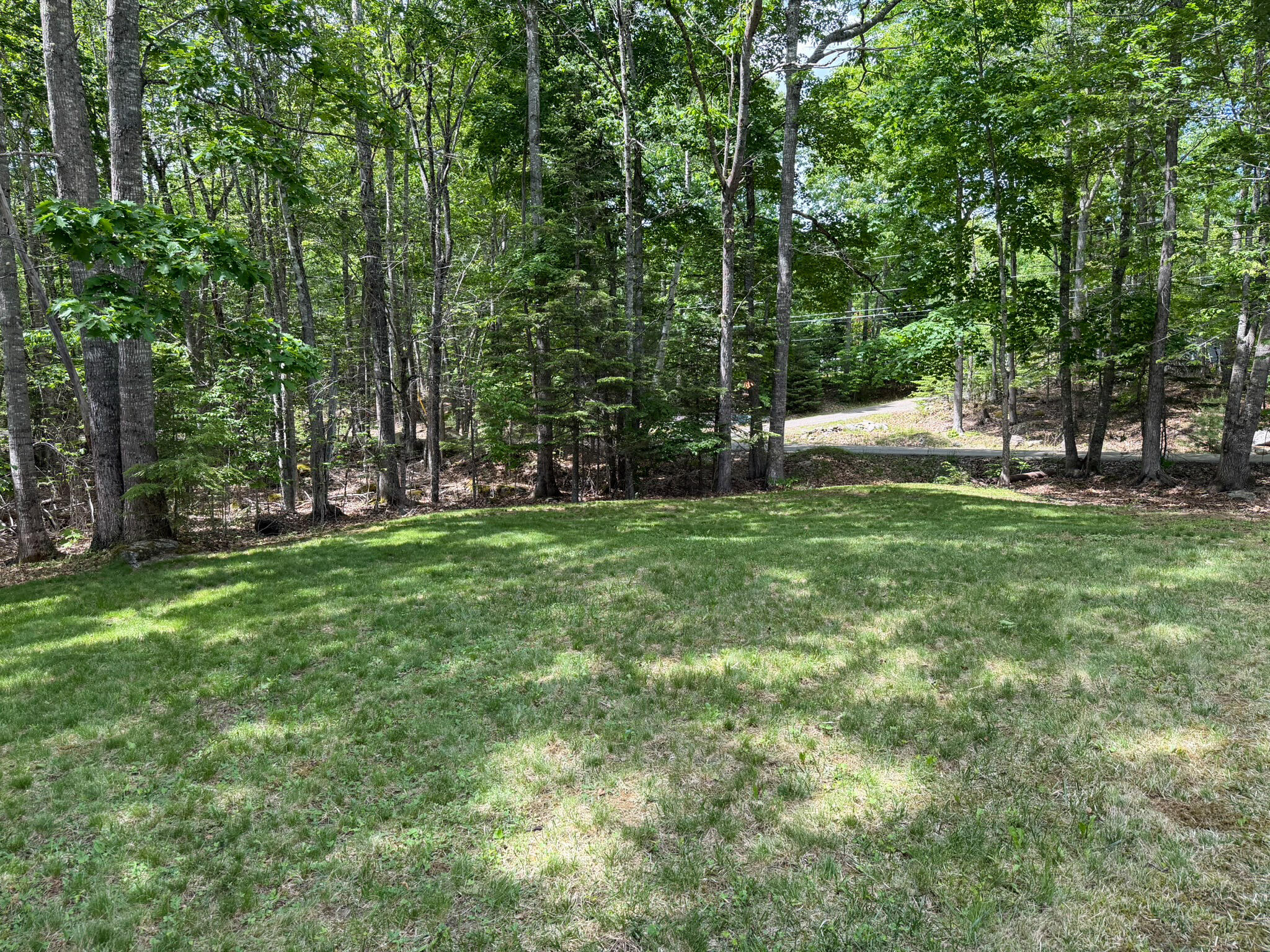361 Peakes Hill Road Dedham, ME 04429 - Photo 45 of 45 Side Yard