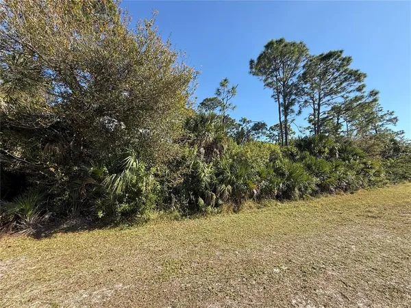 a view of a yard with a tree