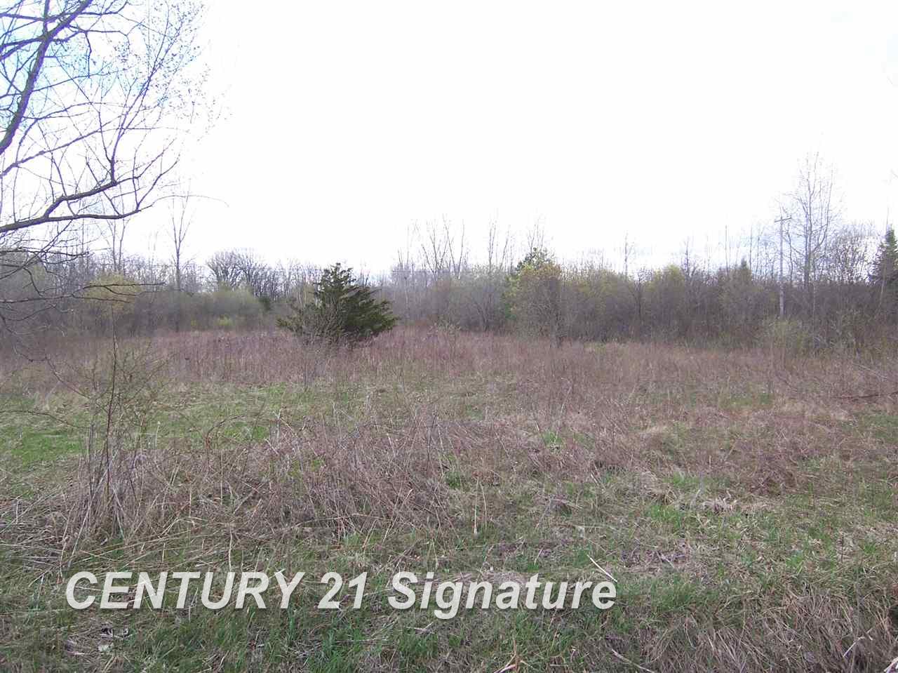 12386 Elms Road Clio, MI 48420 - Photo 4 of 11 Gallery Image 4