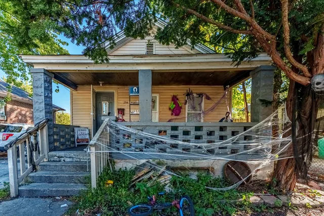 front view of a house with a tree