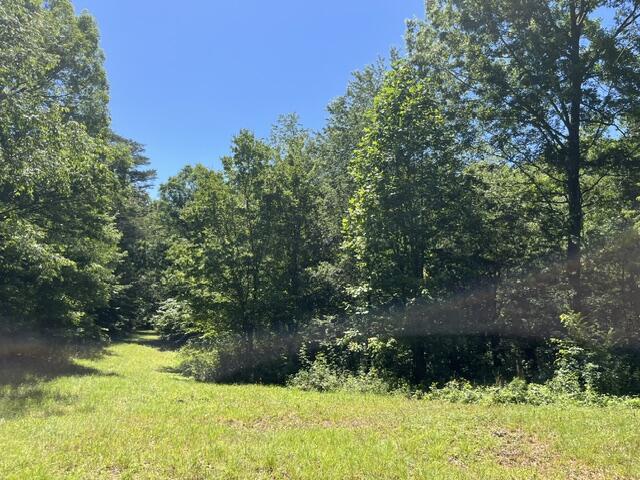 362 Cullen Savage Road Palmer, TN 37365 - Photo 38 of 76 IMG_7177