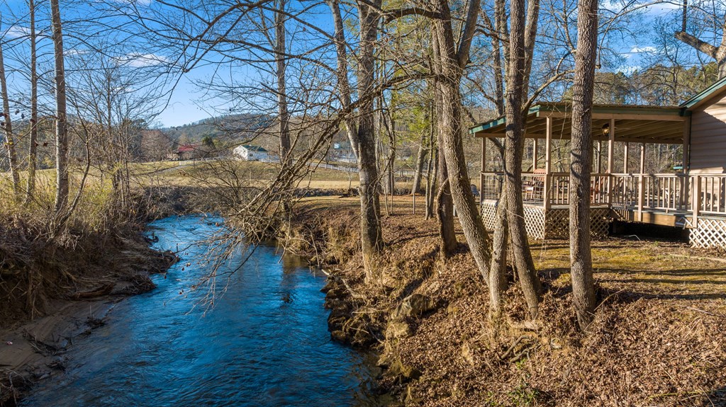 251 Sunny Brook Road Blue Ridge, GA 30513 - Photo 3 of 68 Gallery Image 3