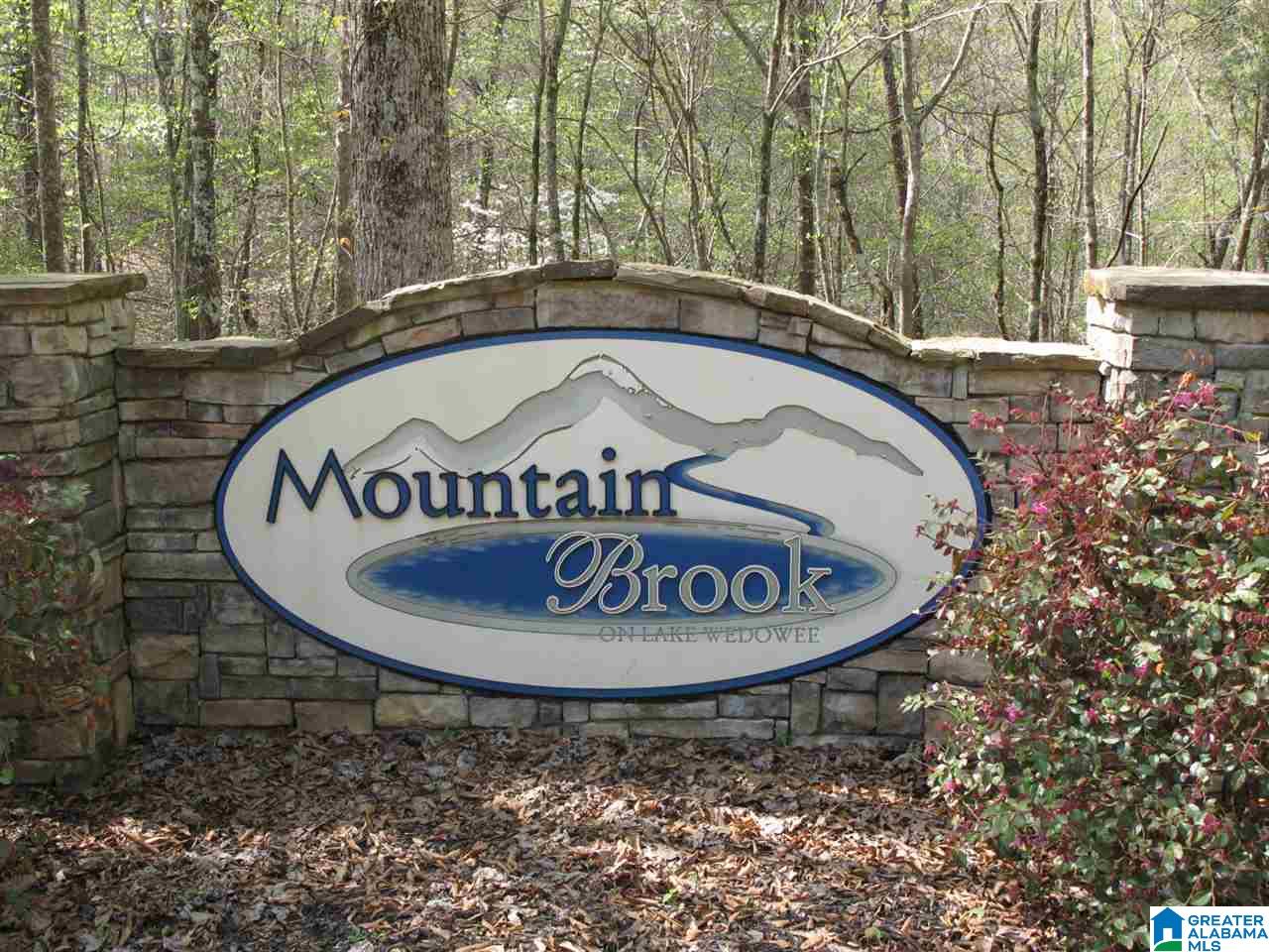 Lot 3 Lake Ridge Lane Wedowee, AL 36278 - Photo 1 of 1