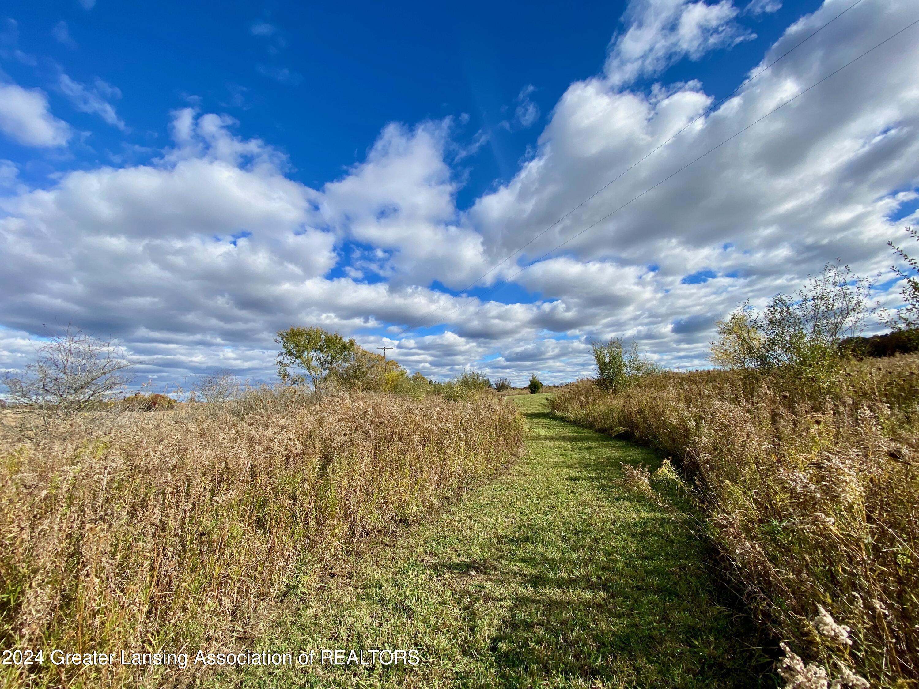 2820 Lehman Road Dewitt, MI 48820 - Photo 45 of 47 beautiful view