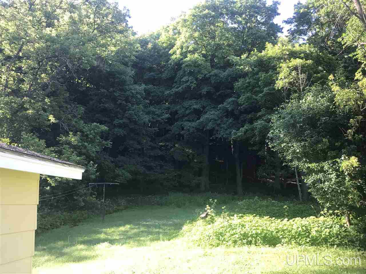 170 Bluff Street Ishpeming, MI 49849 - Photo 29 of 30