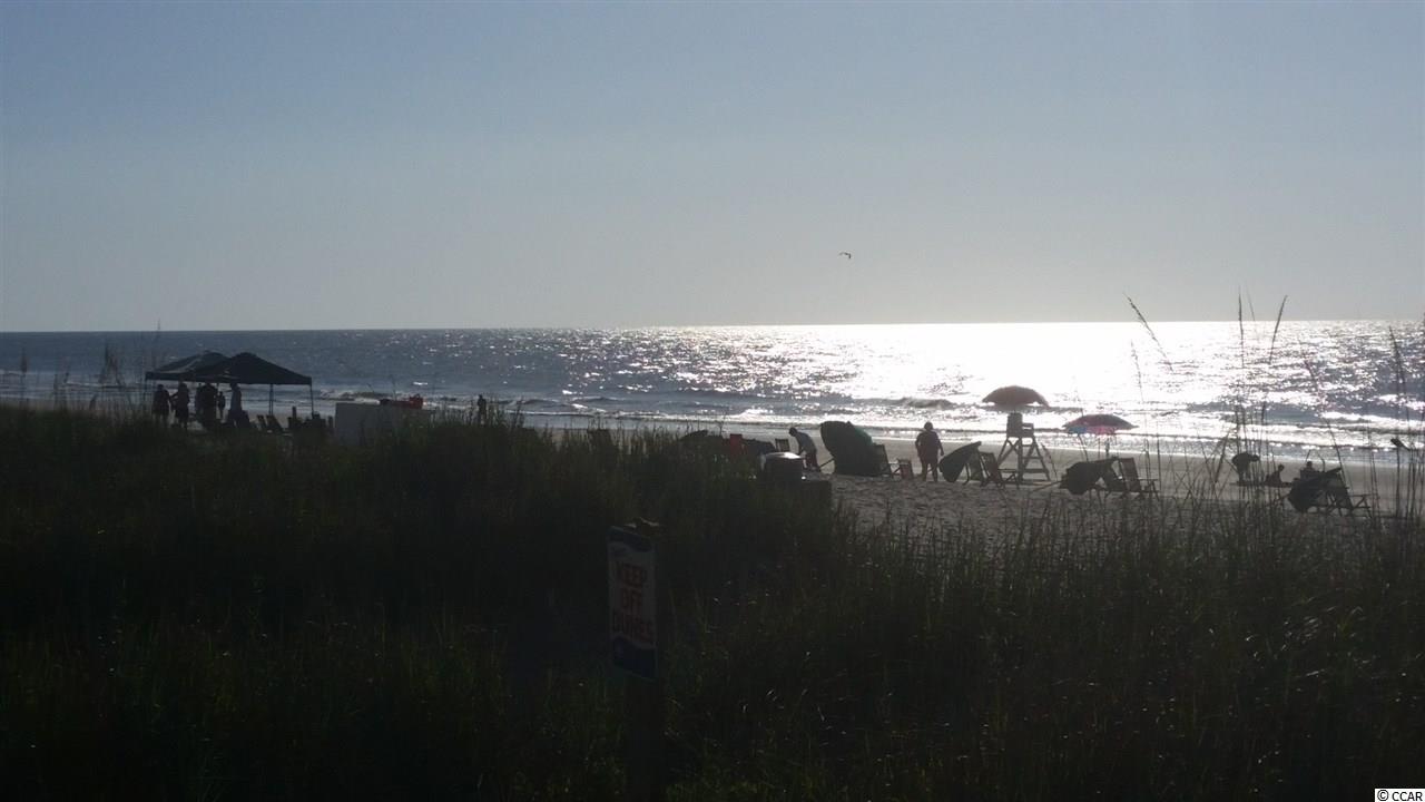 115 Ocean Boulevard South, Unit 202 Surfside Beach, SC 29575 - Photo 12 of 19