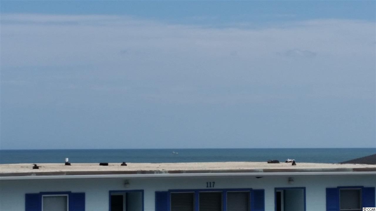 115 Ocean Boulevard South, Unit 202 Surfside Beach, SC 29575 - Photo 6 of 19