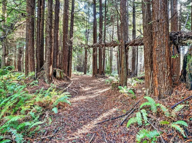 a backyard of a house with lots of green space