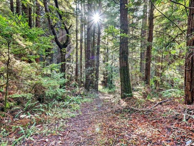 $1,625,000 | 19400 Dorffi Road, Fort Bragg, CA 95437