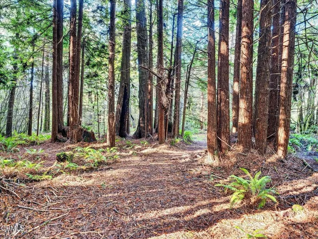 $1,625,000 | 19400 Dorffi Road, Fort Bragg, CA 95437