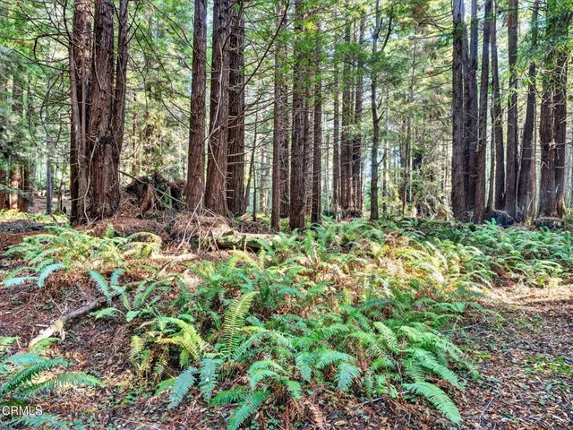 $1,625,000 | 19400 Dorffi Road, Fort Bragg, CA 95437